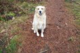 /album/fotogalerij-maxime/a188763-1794975028546-8351241-n-jpg/