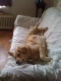 /album/fotogalerij-maxime/a188763-1794975188550-1672325-n-jpg/