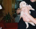 /album/fotogalerij-maxime/a199005-1794955188050-2120211-n-jpg/