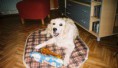 /album/fotogalerij-maxime/a199005-1794955268052-575221-n-jpg/