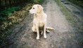 /album/fotogalerij-maxime/a199005-1794955308053-5451839-n-jpg/