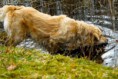 /album/fotogalerij-maxime/a199614-1794980508683-2527765-n-jpg/