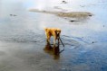/album/fotogalerij-maxime/a199614-1794980588685-7877688-n-jpg/