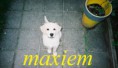 /album/fotogalerij-maxime/a311656-4034137566210-1856358463-n-jpg/