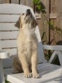 /album/fotogalerij-maxime/a405258-4034182207326-1397556929-n-jpg/