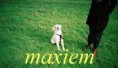 /album/fotogalerij-maxime/a484004-4034138366230-17720657-n-jpg/