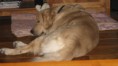 /album/fotogalerij-joe/a418978-123305101129602-220518331-n-jpg/