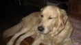 /album/fotogalerij-joe/a425183-123304964462949-1945427073-n-jpg/