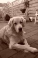 /album/fotogalerij-joeri/img446700301-jpg/