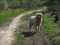 /album/fotogalerij-joeri/img1335671338-jpg/