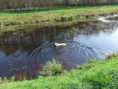 /album/fotogalerij-joeri/img1335673634-jpg/