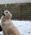 /album/fotogalerij-isa/img1481684536-jpg/