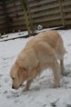 /album/fotogalerij-isa/a556066-3784848294134-1410483666-n-jpg/
