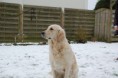 /album/fotogalerij-isa/a598500-3784846294084-327313083-n-jpg/