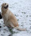 /album/fotogalerij-isa/img1481684574-jpg/