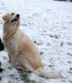 /album/fotogalerij-isa/img1481684588-jpg/