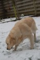 /album/fotogalerij-isa/img1481684458-jpg/
