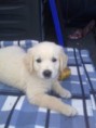 /album/fotogalerij-indy/a8week-jpg/