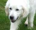 /album/fotogalerij-oma/a225172-269510196498230-171327781-n-jpg/