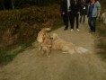 /album/reunie-/dsc08118-jpg/