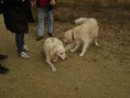 /album/reunie-/dsc08124-jpg/