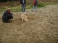 /album/reunie-/dsc08165-jpg/