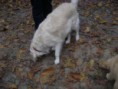/album/reunie-/dsc08172-jpg/