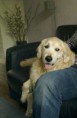 /album/fotogalerij-max-2001/max-jpg/